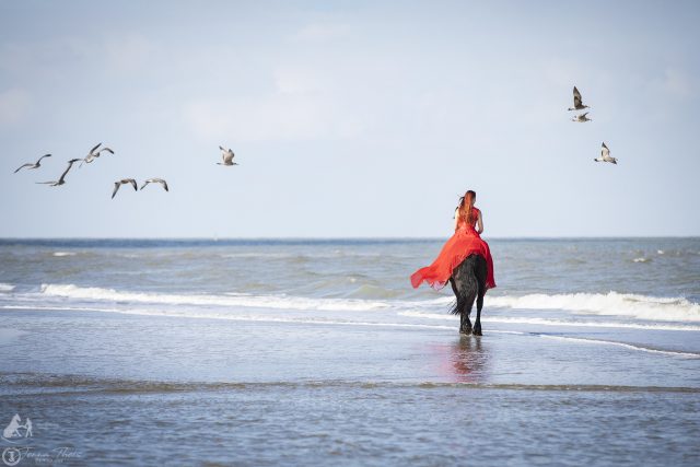 Jenna Theis Photography