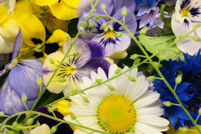 Botanika - Edible flowers, Herbs, Cut flowers, Flower confetti